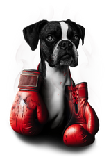 Boxer (brindle) Short Sleeve T