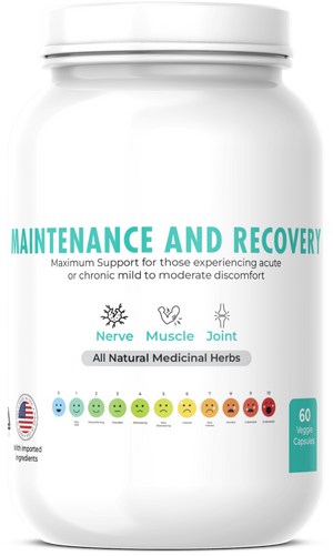 Maintenance and Recovery-Human formula