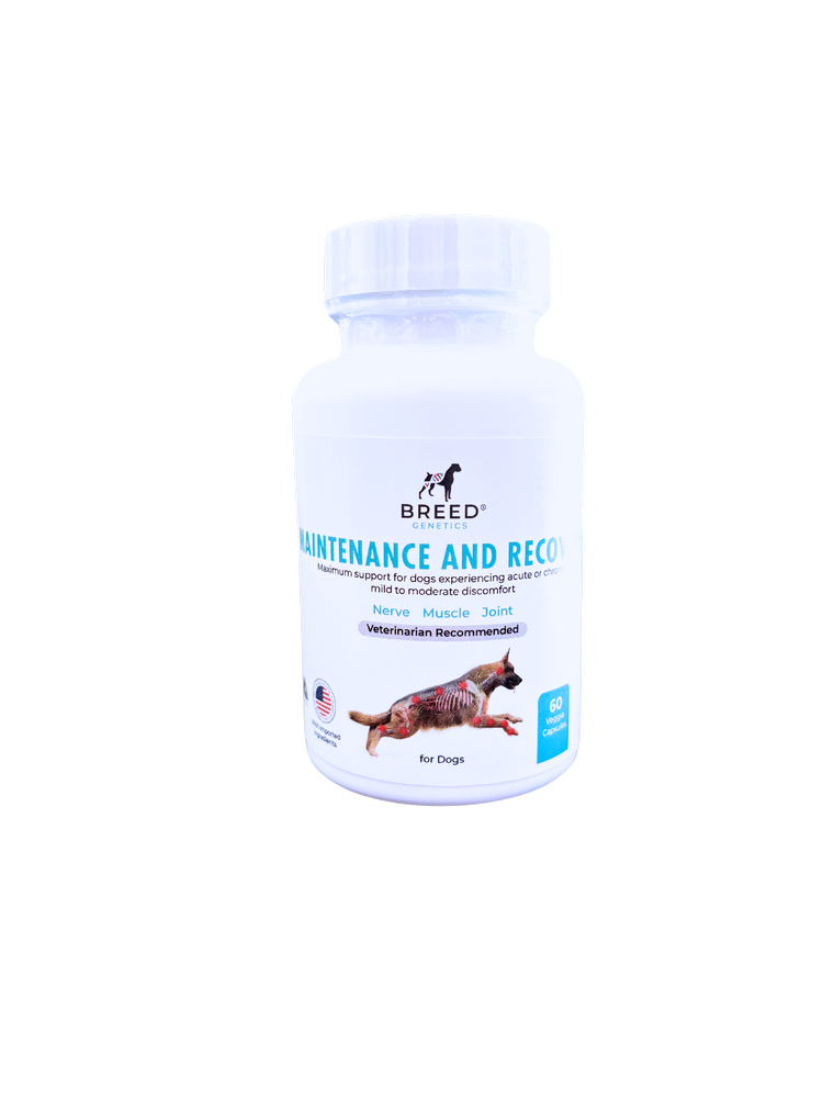 Maintenance and Recovery - Veterinary Formula