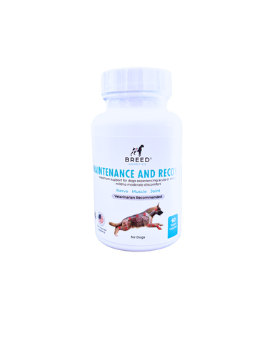 Maintenance and Recovery - Veterinary Formula