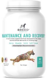 Maintenance and Recovery - Veterinary Formula