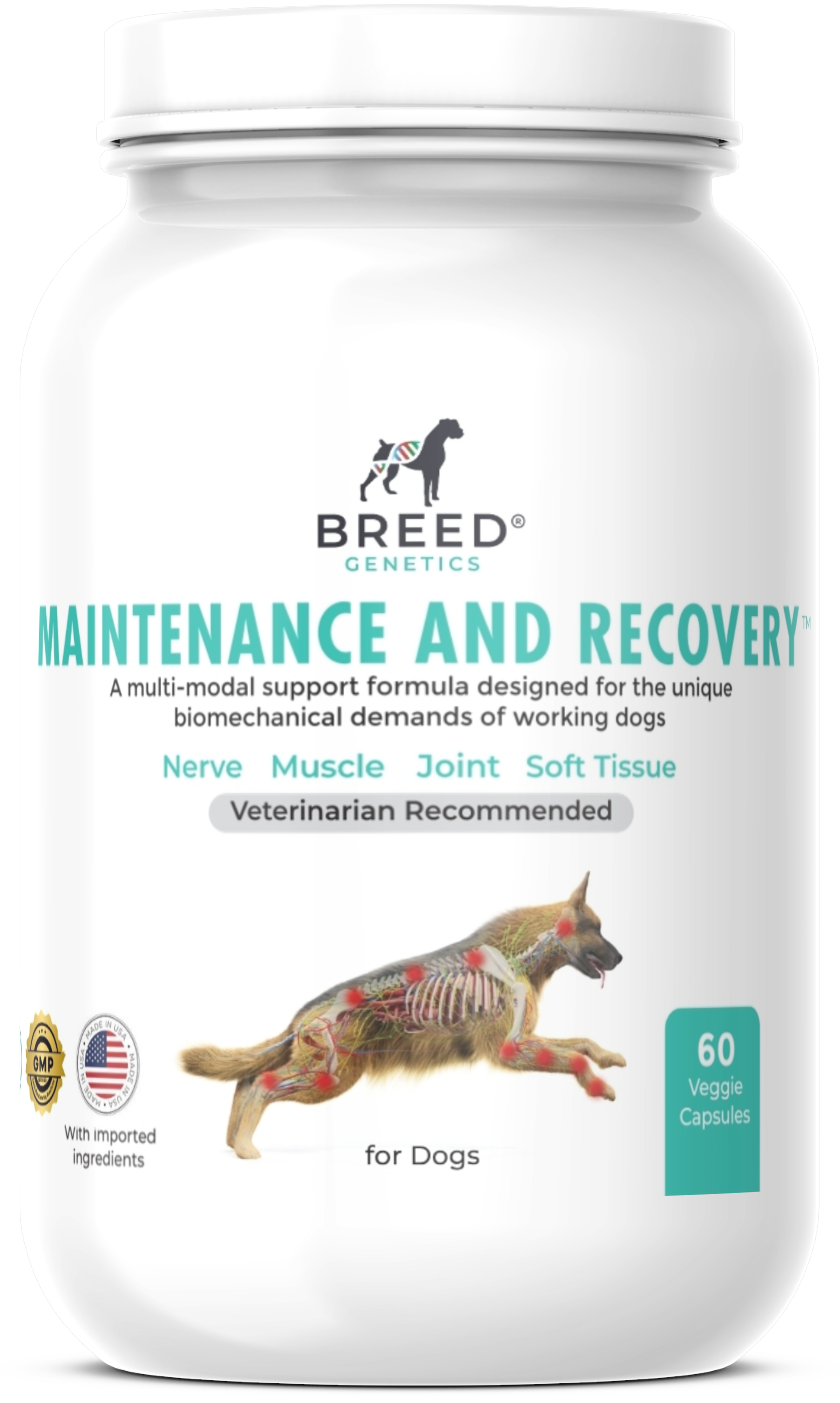 Maintenance and Recovery - Veterinary Formula