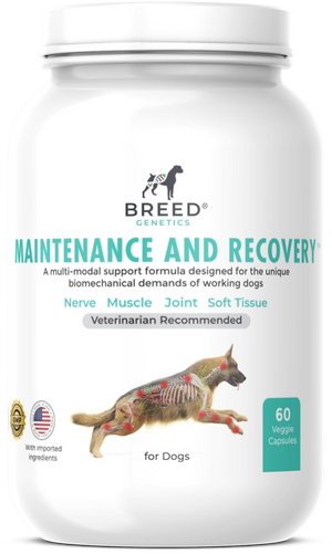 Maintenance and Recovery - Veterinary Formula
