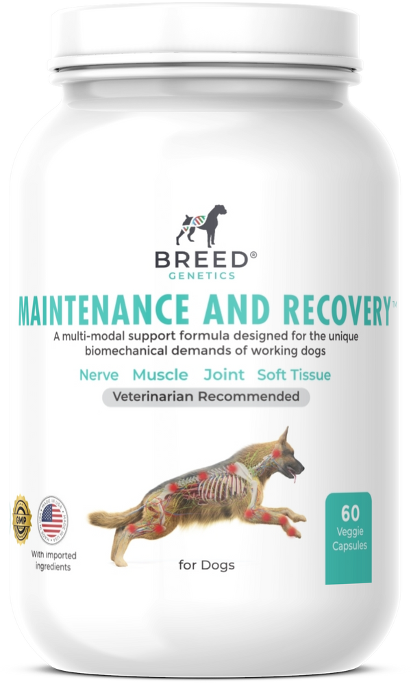 Maintenance and Recovery - Veterinary Formula