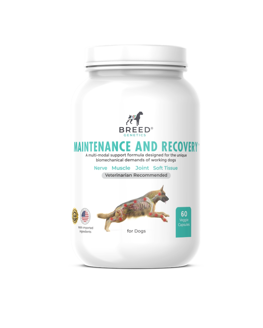 Maintenance and Recovery - Veterinary Formula