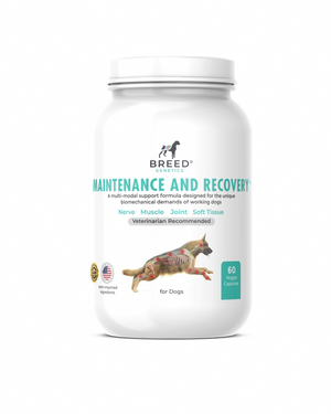 Maintenance and Recovery - Veterinary Formula