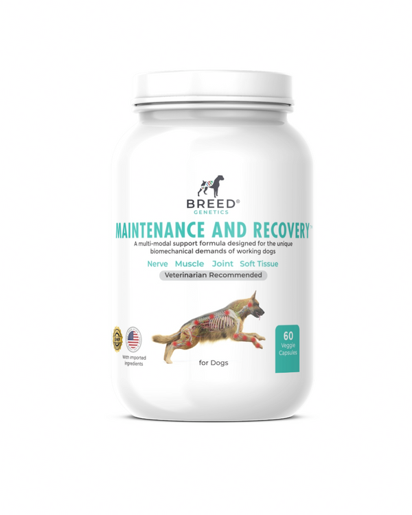 Maintenance and Recovery - Veterinary Formula
