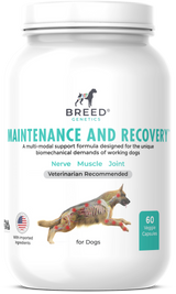 Maintenance and Recovery - Veterinary Formula