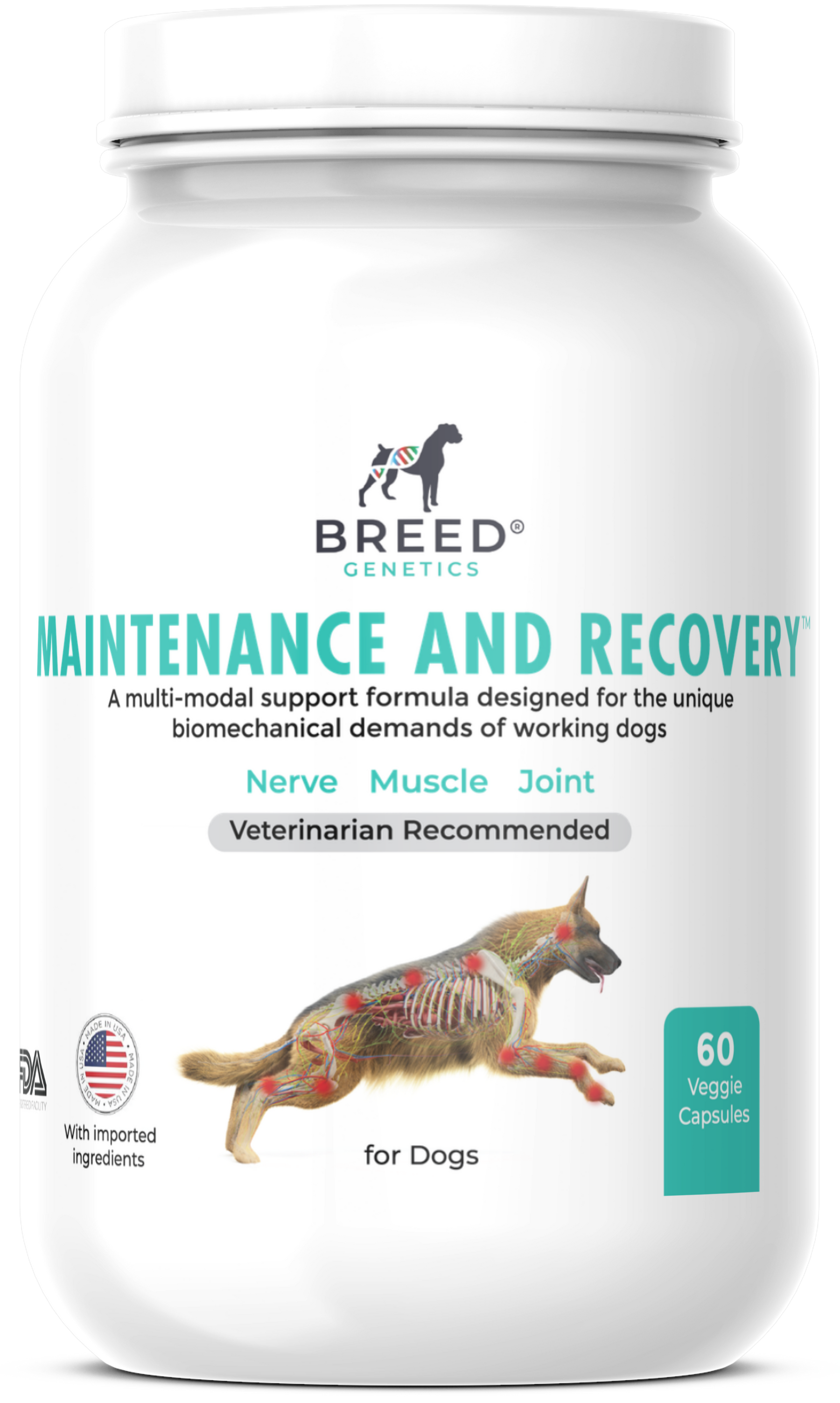 Maintenance and Recovery - Veterinary Formula