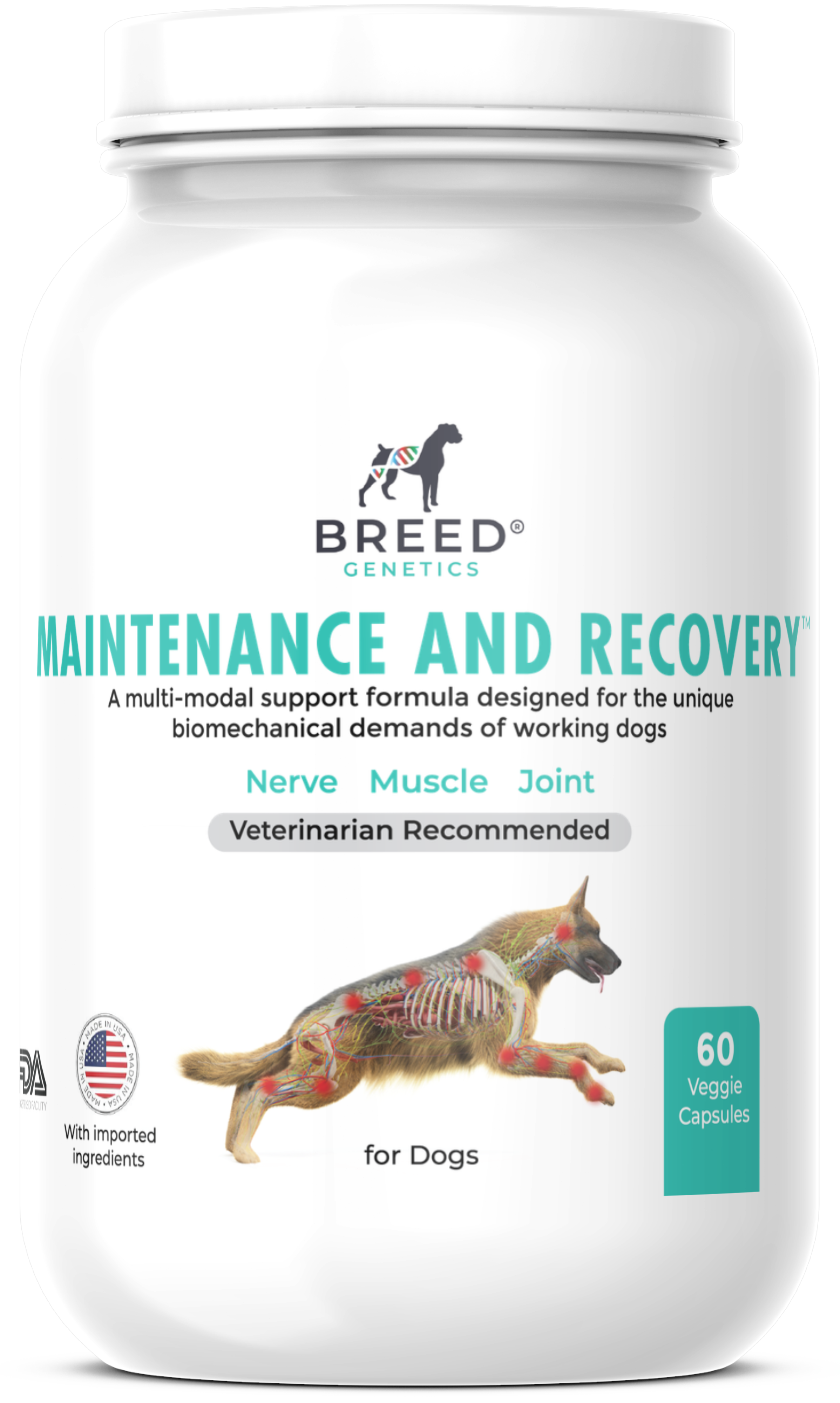 Maintenance and Recovery - Veterinary Formula