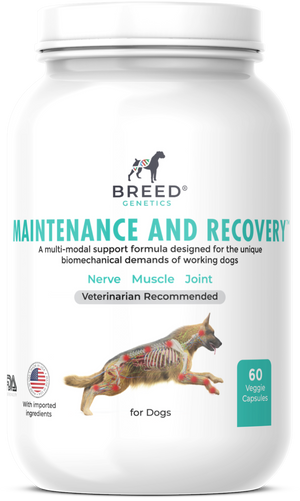 Maintenance and Recovery - Veterinary Formula